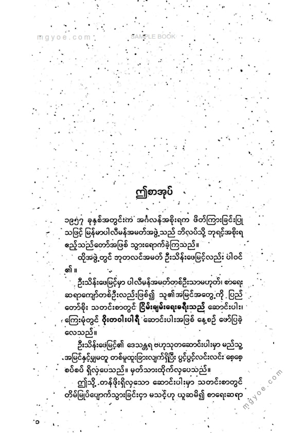 သိန်းဖေမြင့် - ဝိုးတဝါးပါရီနှင့်ငြိမ်းချမ်းရေးခရီးသည်