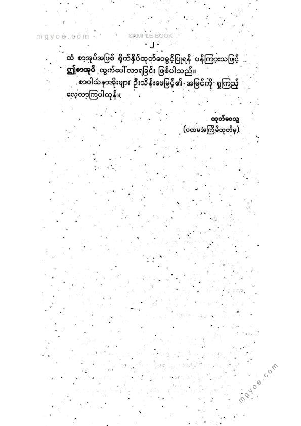 သိန်းဖေမြင့် - ဝိုးတဝါးပါရီနှင့်ငြိမ်းချမ်းရေးခရီးသည်