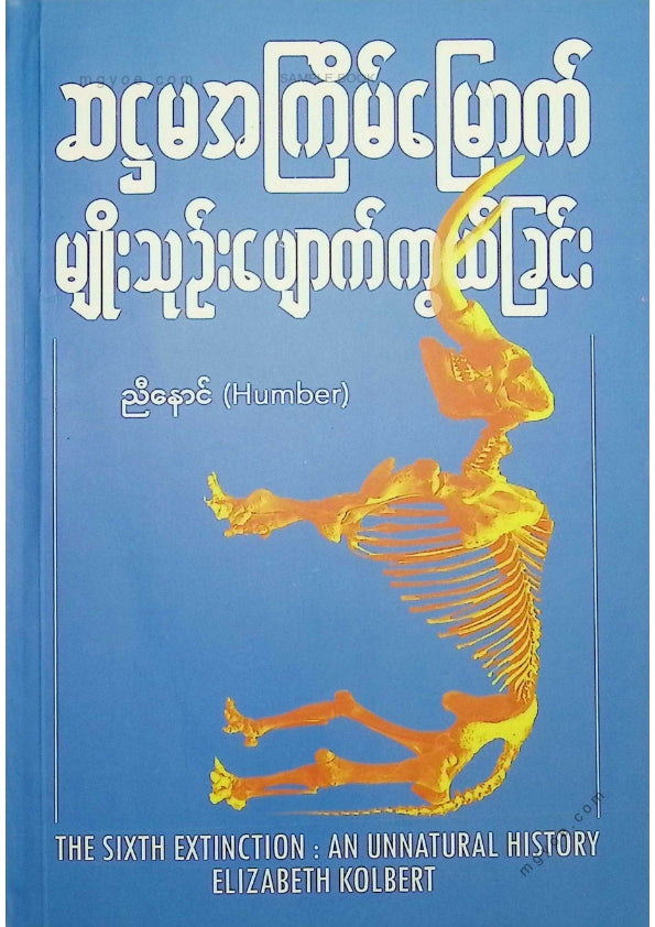 ညီနောင်(Humber) - ဆဌမအကြိမ်မြောက်မျိုးသုဥ်းပျောက်ကွယ်ခြင်း