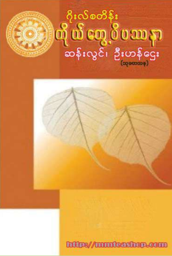 ဆန်းလွင်၊ဦးဟန်ဌေး - ဂိုးလ်စတိန်းကိုယ်တွေ့ဝိပဿနာ