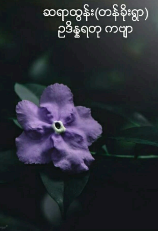 ဆရာထွန်း (တန်ခိုးရွာ) - ဥဒိန္နရတု ကဗျာ