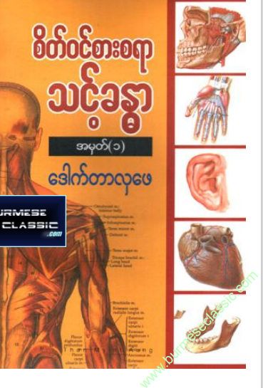 ဒေါက်တာလှဖေ - စိတ်၀င်စားစရာ သင့်ခန္ဓာ ၁
