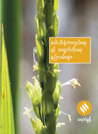 မျိုးမြင့် - စပါးသီးနှံကာကွယ်ရေးနှင့် အထွက်တိုးရေး နည်းလမ်းများ