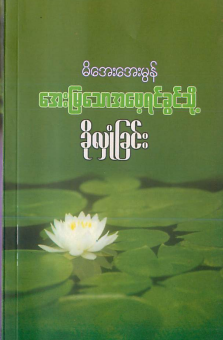 မိအေးအေးမွန် - အေးမြသောအမေ့ရင်ခွင်သို့ ခိုလှုံခြင်း