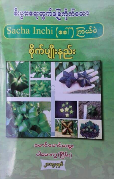 မောင်မောင်ထွေး (ပါမောက္ခငြိမ်း) - စီးပွားရေးတွက်ခြေကိုက်သော ကြယ်ပဲ စိုက်ပျိုးနည်း