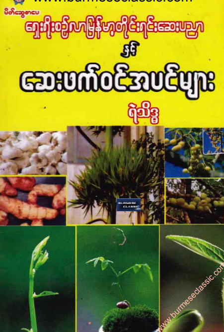 ရဲသိဒ္ဓ - ရှေးရိုးစဥ်လာမြန်မာ့တိုင်းရင်းဆေးပညာ နှင့် ဆေးဖက်၀င်အပင်များ