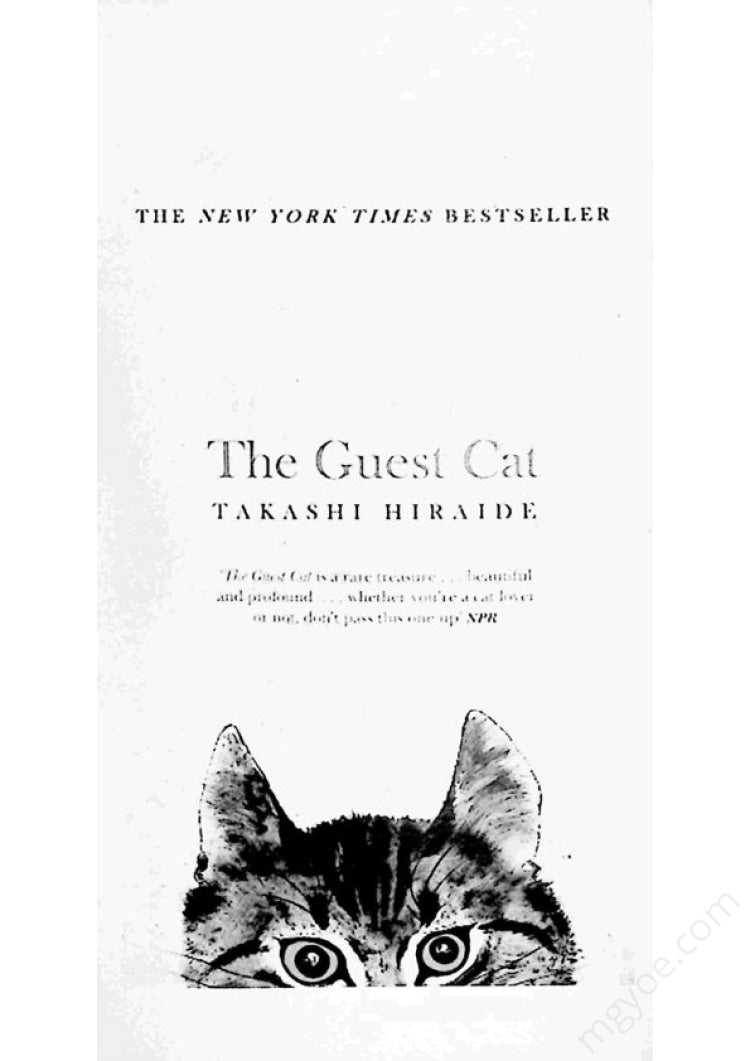 Su Myat Chit - The Guestcat