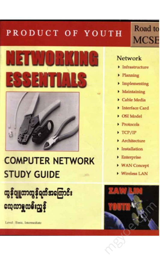 (Youth) - Networking Essential Books