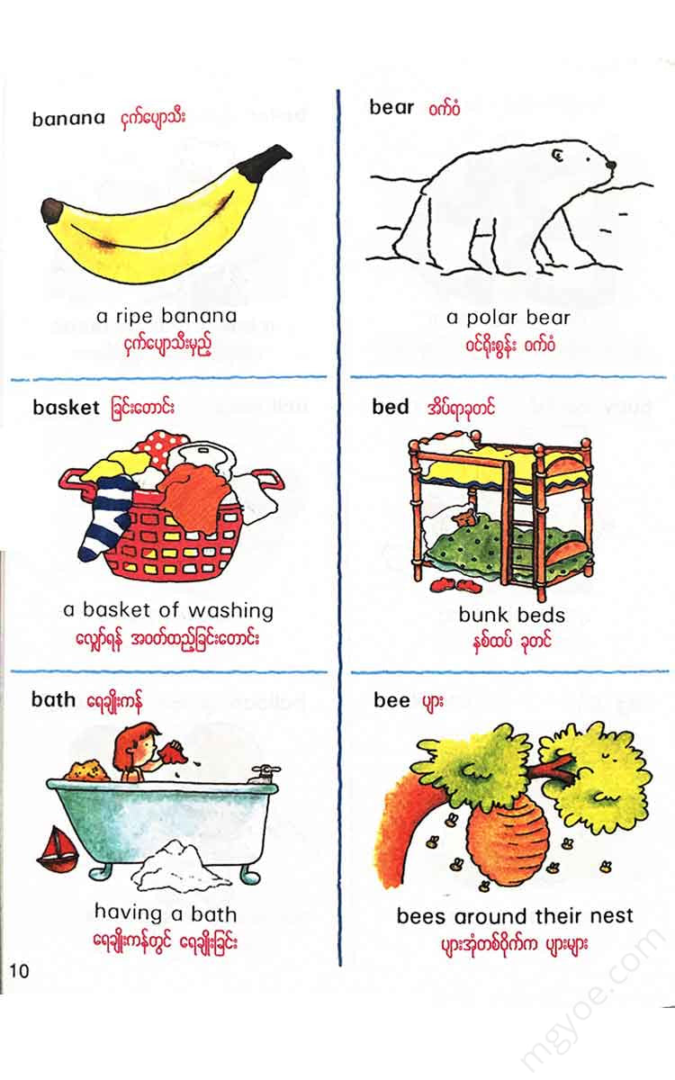 - Books